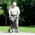 Three Wheeled Walker